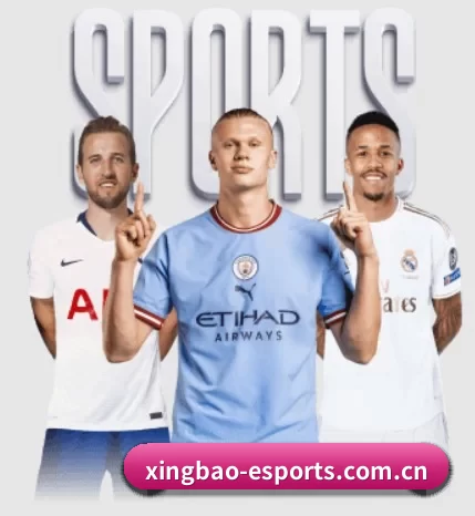 五大体育板块覆盖,从比分到直播全覆盖 - 多运动项目内容板块